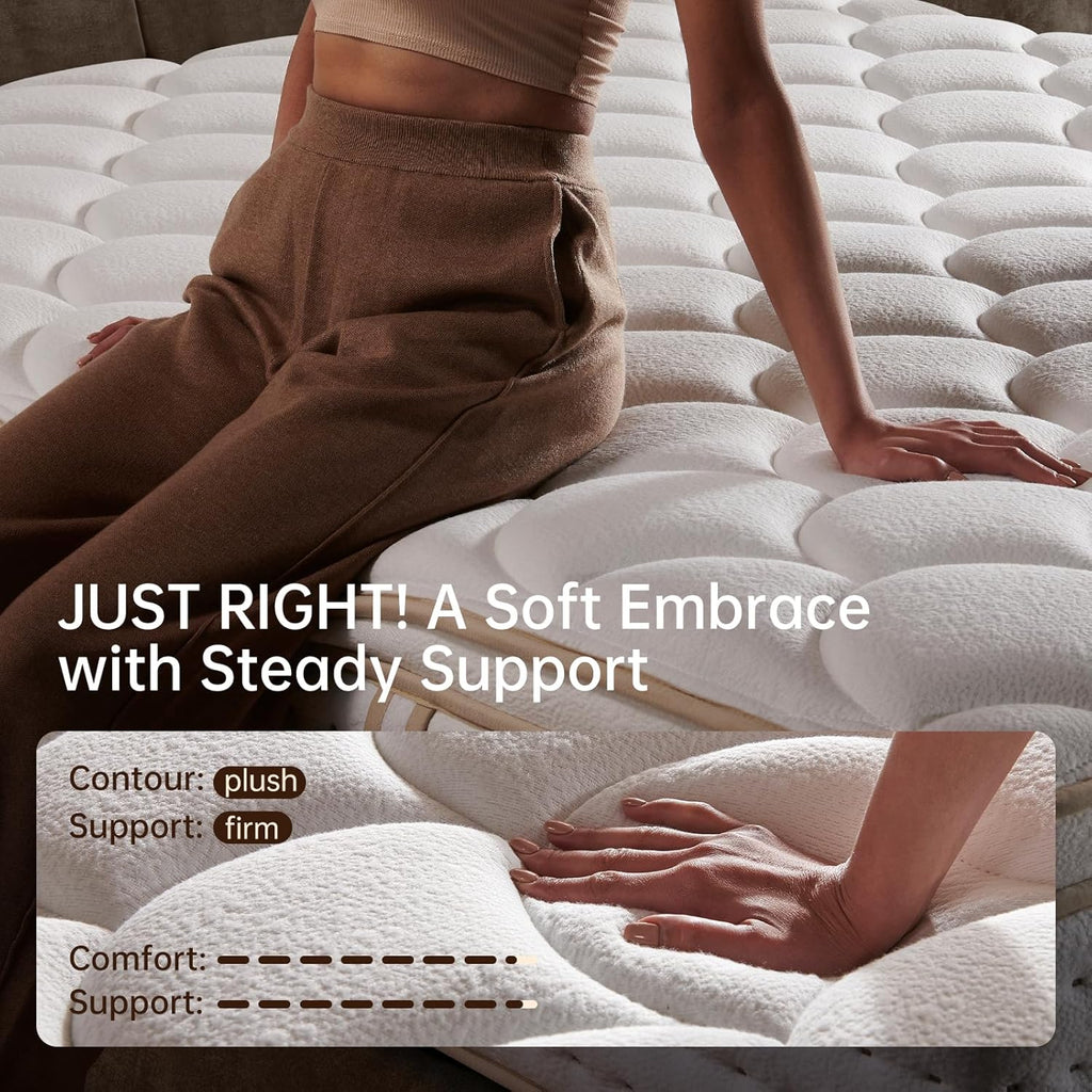 Queen Mattress 12 Inch Queen Mattress in a Box with Memory Foam for Extra Lumbar Support